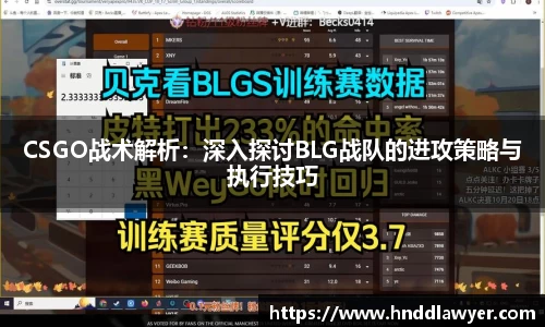 yy体育