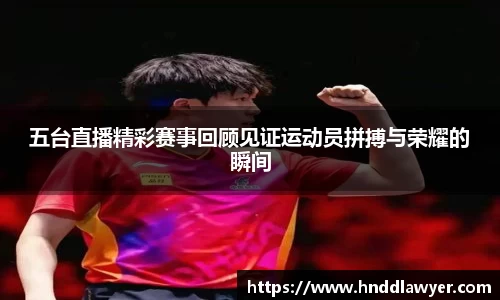 米乐yy易游